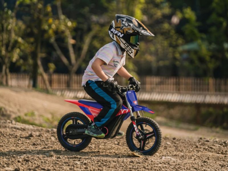 E-Bike MX E500W